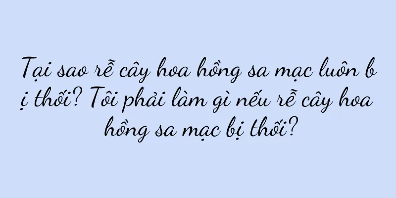 Tại sao rễ cây hoa hồng sa mạc luôn bị thối? Tôi phải làm gì nếu rễ cây hoa hồng sa mạc bị thối?