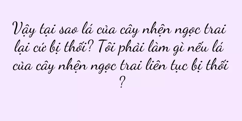 Vậy tại sao lá của cây nhện ngọc trai lại cứ bị thối? Tôi phải làm gì nếu lá của cây nhện ngọc trai liên tục bị thối?