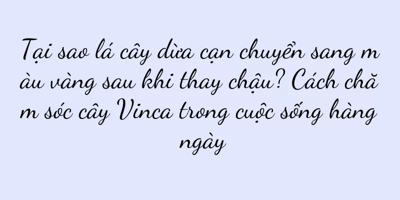 Tại sao lá cây dừa cạn chuyển sang màu vàng sau khi thay chậu? Cách chăm sóc cây Vinca trong cuộc sống hàng ngày
