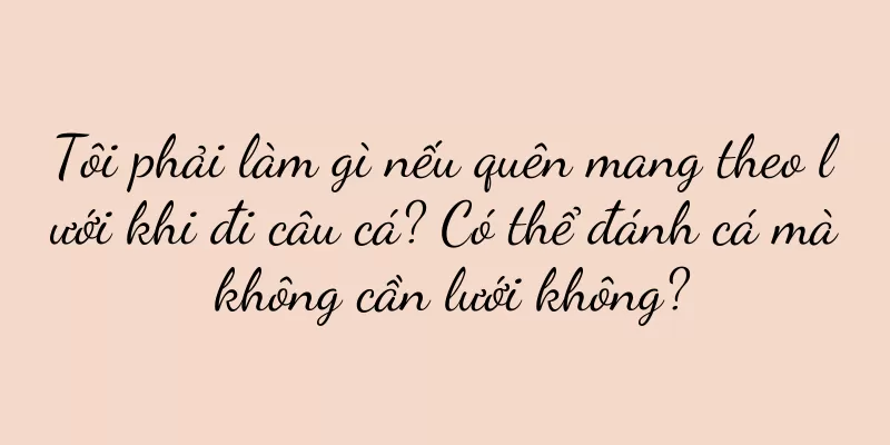 Tôi phải làm gì nếu quên mang theo lưới khi đi câu cá? Có thể đánh cá mà không cần lưới không?