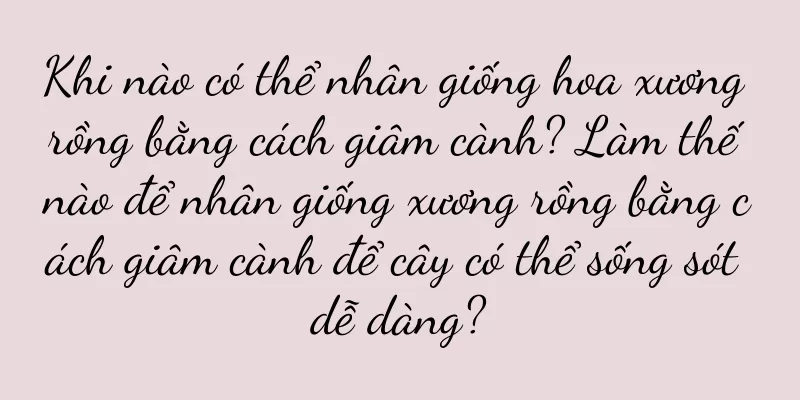 Khi nào có thể nhân giống hoa xương rồng bằng cách giâm cành? Làm thế nào để nhân giống xương rồng bằng cách giâm cành để cây có thể sống sót dễ dàng?