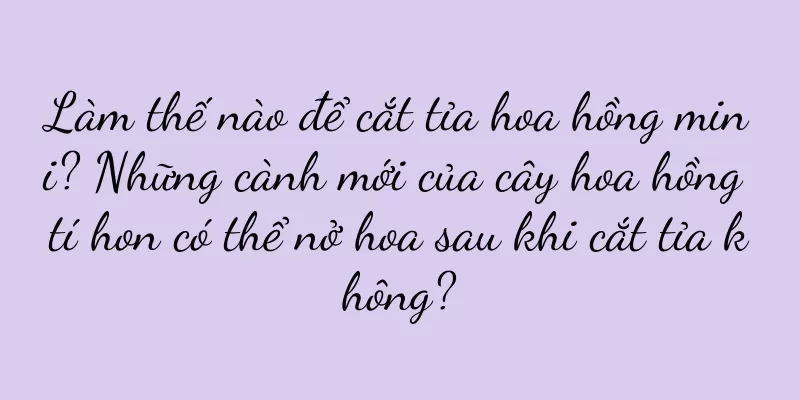 Làm thế nào để cắt tỉa hoa hồng mini? Những cành mới của cây hoa hồng tí hon có thể nở hoa sau khi cắt tỉa không?