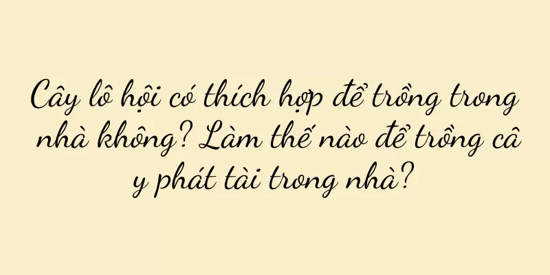Cây lô hội có thích hợp để trồng trong nhà không? Làm thế nào để trồng cây phát tài trong nhà?