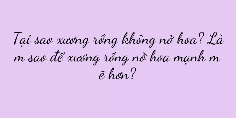 Tại sao xương rồng không nở hoa? Làm sao để xương rồng nở hoa mạnh mẽ hơn?
