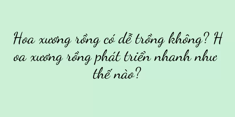 Hoa xương rồng có dễ trồng không? Hoa xương rồng phát triển nhanh như thế nào?