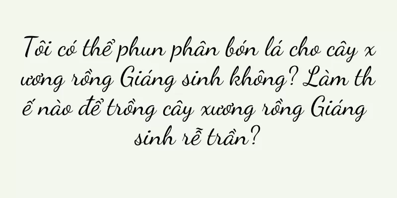 Tôi có thể phun phân bón lá cho cây xương rồng Giáng sinh không? Làm thế nào để trồng cây xương rồng Giáng sinh rễ trần?