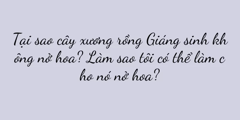 Tại sao cây xương rồng Giáng sinh không nở hoa? Làm sao tôi có thể làm cho nó nở hoa?