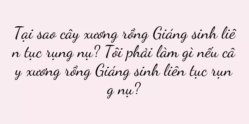 Tại sao cây xương rồng Giáng sinh liên tục rụng nụ? Tôi phải làm gì nếu cây xương rồng Giáng sinh liên tục rụng nụ?