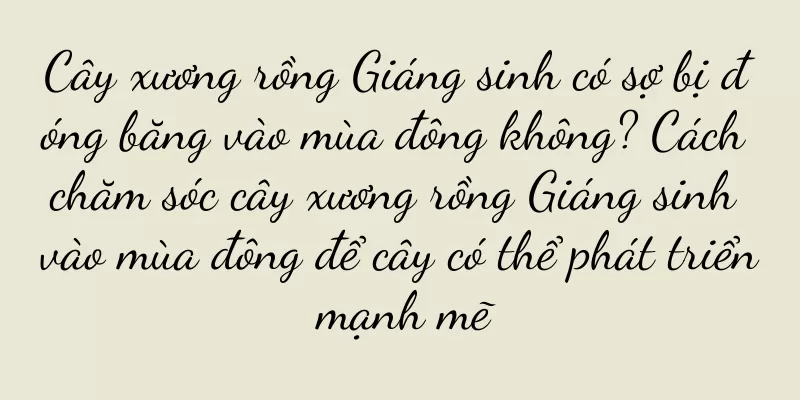 Cây xương rồng Giáng sinh có sợ bị đóng băng vào mùa đông không? Cách chăm sóc cây xương rồng Giáng sinh vào mùa đông để cây có thể phát triển mạnh mẽ