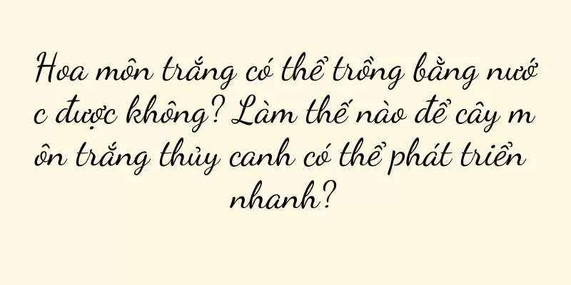 Hoa môn trắng có thể trồng bằng nước được không? Làm thế nào để cây môn trắng thủy canh có thể phát triển nhanh?