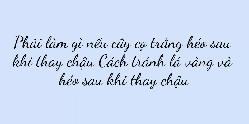 Phải làm gì nếu cây cọ trắng héo sau khi thay chậu Cách tránh lá vàng và héo sau khi thay chậu