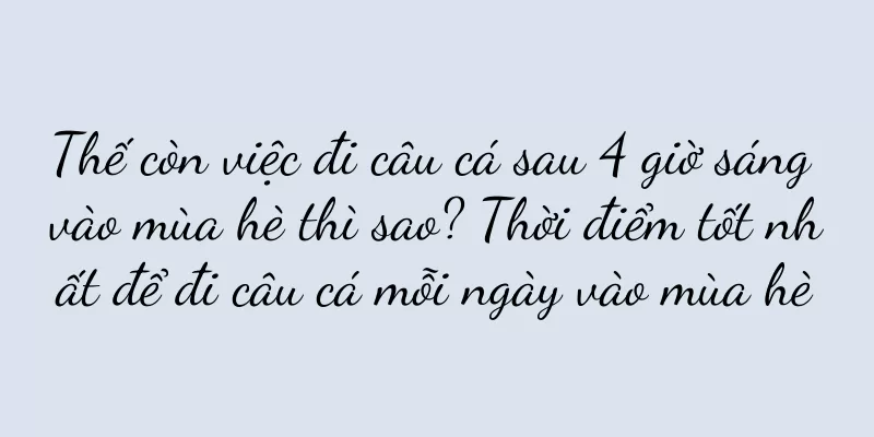 Thế còn việc đi câu cá sau 4 giờ sáng vào mùa hè thì sao? Thời điểm tốt nhất để đi câu cá mỗi ngày vào mùa hè