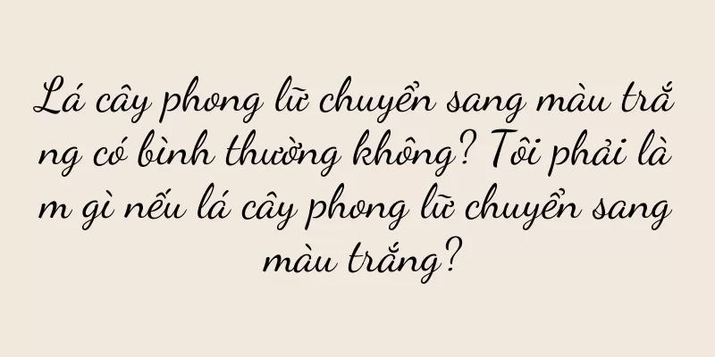 Lá cây phong lữ chuyển sang màu trắng có bình thường không? Tôi phải làm gì nếu lá cây phong lữ chuyển sang màu trắng?