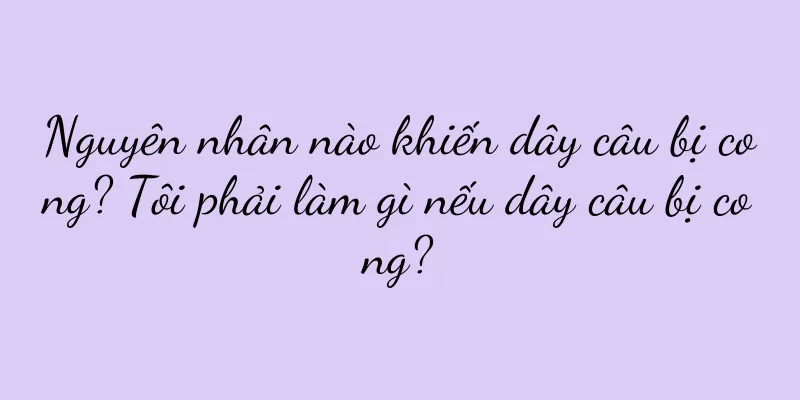 Nguyên nhân nào khiến dây câu bị cong? Tôi phải làm gì nếu dây câu bị cong?