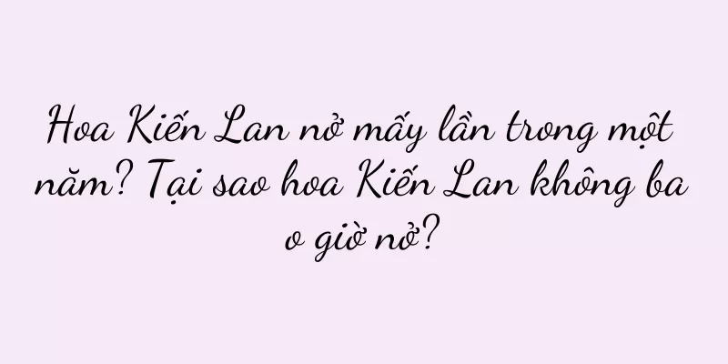 Hoa Kiến Lan nở mấy lần trong một năm? Tại sao hoa Kiến Lan không bao giờ nở?
