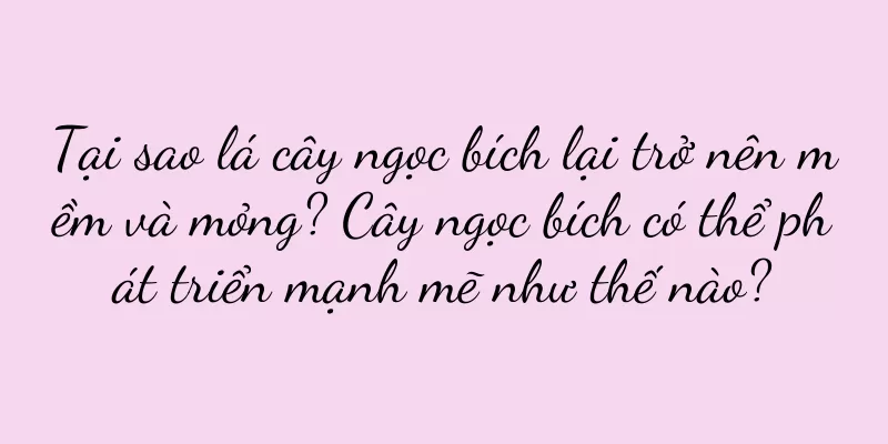 Tại sao lá cây ngọc bích lại trở nên mềm và mỏng? Cây ngọc bích có thể phát triển mạnh mẽ như thế nào?