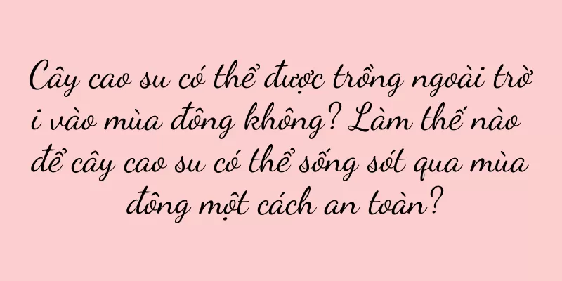 Cây cao su có thể được trồng ngoài trời vào mùa đông không? Làm thế nào để cây cao su có thể sống sót qua mùa đông một cách an toàn?