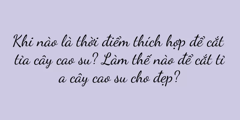 Khi nào là thời điểm thích hợp để cắt tỉa cây cao su? Làm thế nào để cắt tỉa cây cao su cho đẹp?