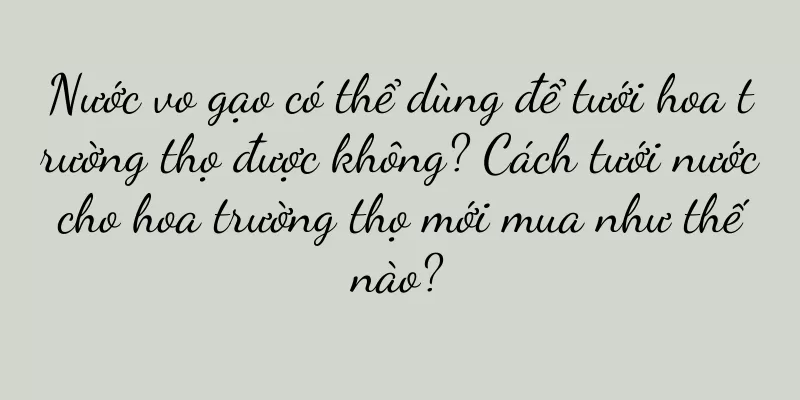 Nước vo gạo có thể dùng để tưới hoa trường thọ được không? Cách tưới nước cho hoa trường thọ mới mua như thế nào?