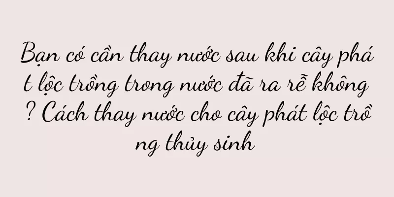 Bạn có cần thay nước sau khi cây phát lộc trồng trong nước đã ra rễ không? Cách thay nước cho cây phát lộc trồng thủy sinh