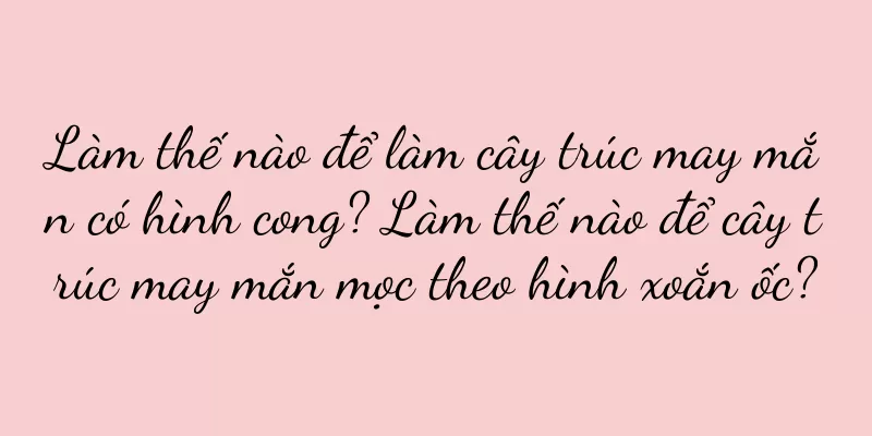 Làm thế nào để làm cây trúc may mắn có hình cong? Làm thế nào để cây trúc may mắn mọc theo hình xoắn ốc?