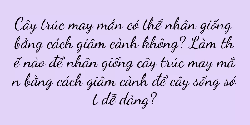 Cây trúc may mắn có thể nhân giống bằng cách giâm cành không? Làm thế nào để nhân giống cây trúc may mắn bằng cách giâm cành để cây sống sót dễ dàng?