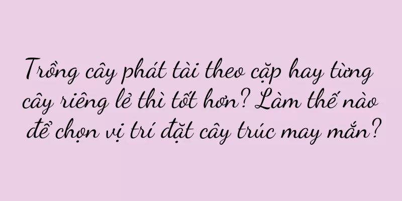 Trồng cây phát tài theo cặp hay từng cây riêng lẻ thì tốt hơn? Làm thế nào để chọn vị trí đặt cây trúc may mắn?