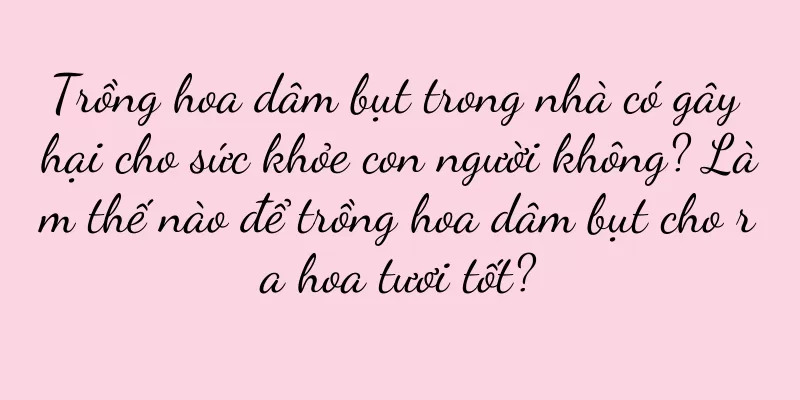 Trồng hoa dâm bụt trong nhà có gây hại cho sức khỏe con người không? Làm thế nào để trồng hoa dâm bụt cho ra hoa tươi tốt?
