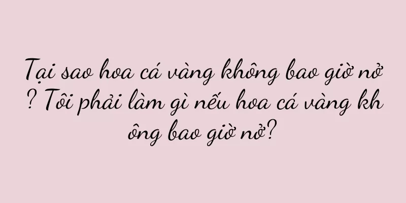 Tại sao hoa cá vàng không bao giờ nở? Tôi phải làm gì nếu hoa cá vàng không bao giờ nở?