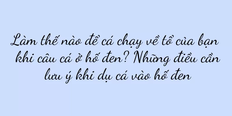 Làm thế nào để cá chạy về tổ của bạn khi câu cá ở hố đen? Những điều cần lưu ý khi dụ cá vào hố đen