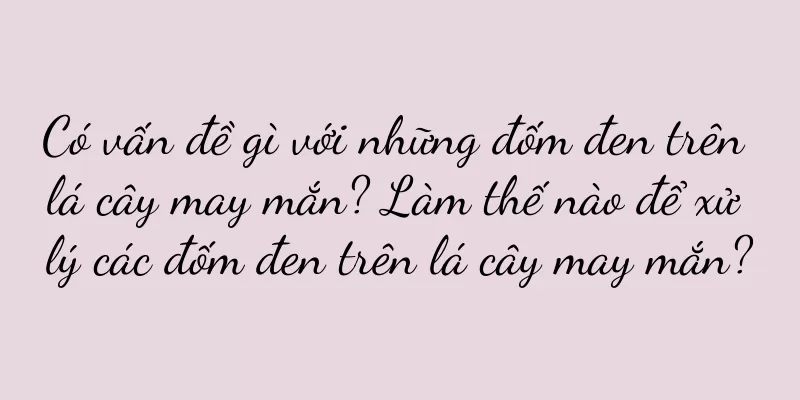 Có vấn đề gì với những đốm đen trên lá cây may mắn? Làm thế nào để xử lý các đốm đen trên lá cây may mắn?