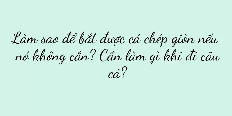 Làm sao để bắt được cá chép giòn nếu nó không cắn? Cần làm gì khi đi câu cá?
