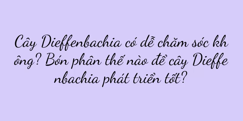 Cây Dieffenbachia có dễ chăm sóc không? Bón phân thế nào để cây Dieffenbachia phát triển tốt?