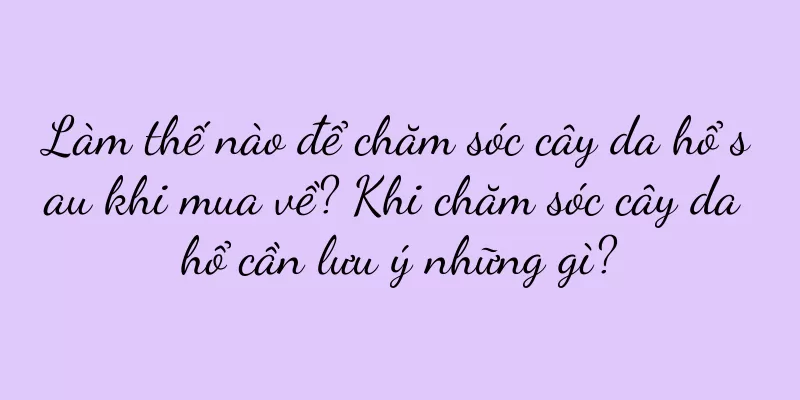 Làm thế nào để chăm sóc cây da hổ sau khi mua về? Khi chăm sóc cây da hổ cần lưu ý những gì?