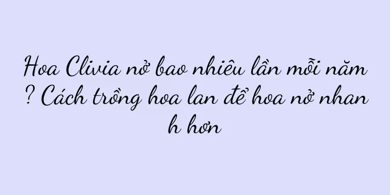 Hoa Clivia nở bao nhiêu lần mỗi năm? Cách trồng hoa lan để hoa nở nhanh hơn