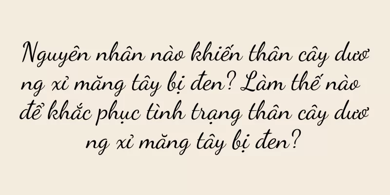 Nguyên nhân nào khiến thân cây dương xỉ măng tây bị đen? Làm thế nào để khắc phục tình trạng thân cây dương xỉ măng tây bị đen?