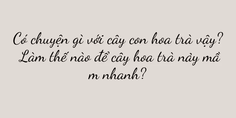 Có chuyện gì với cây con hoa trà vậy? Làm thế nào để cây hoa trà nảy mầm nhanh?