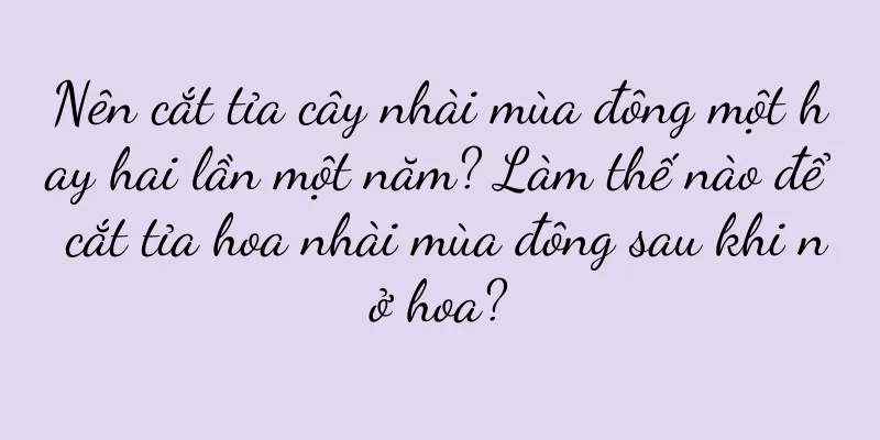 Nên cắt tỉa cây nhài mùa đông một hay hai lần một năm? Làm thế nào để cắt tỉa hoa nhài mùa đông sau khi nở hoa?