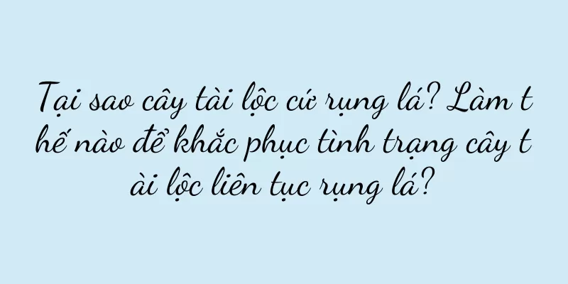 Tại sao cây tài lộc cứ rụng lá? Làm thế nào để khắc phục tình trạng cây tài lộc liên tục rụng lá?
