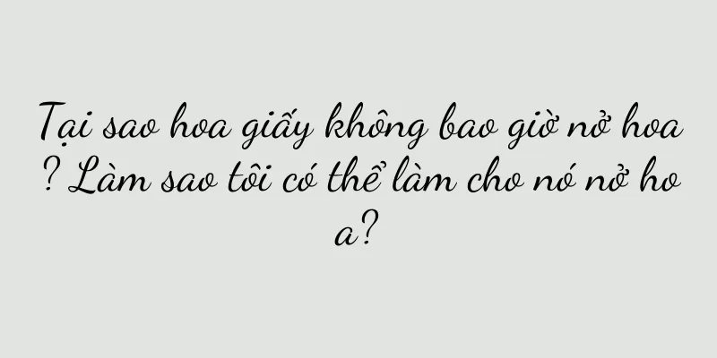 Tại sao hoa giấy không bao giờ nở hoa? Làm sao tôi có thể làm cho nó nở hoa?