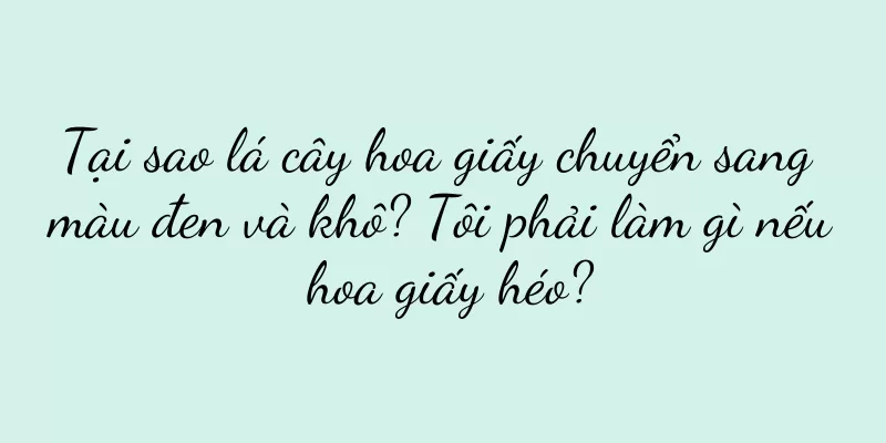 Tại sao lá cây hoa giấy chuyển sang màu đen và khô? Tôi phải làm gì nếu hoa giấy héo?