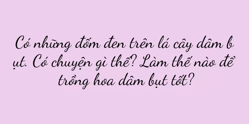 Có những đốm đen trên lá cây dâm bụt. Có chuyện gì thế? Làm thế nào để trồng hoa dâm bụt tốt?