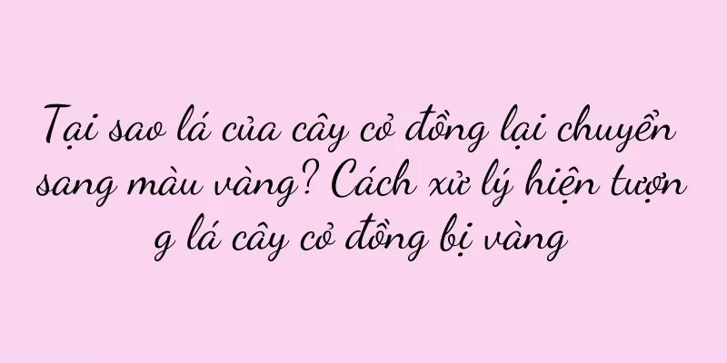 Tại sao lá của cây cỏ đồng lại chuyển sang màu vàng? Cách xử lý hiện tượng lá cây cỏ đồng bị vàng