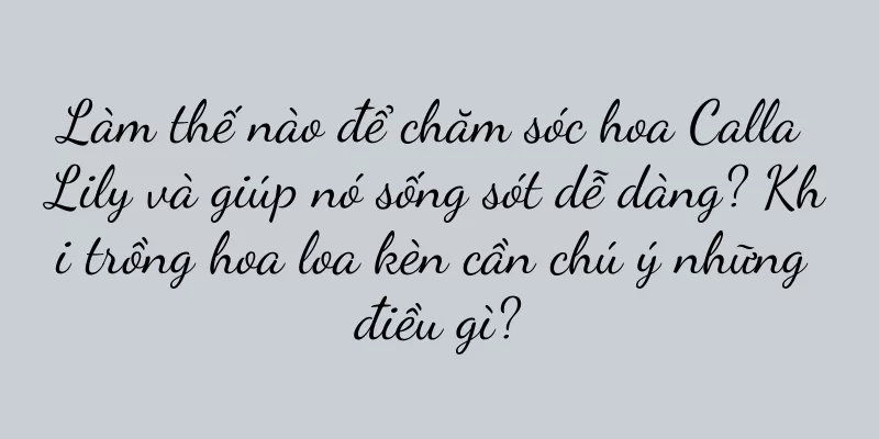 Làm thế nào để chăm sóc hoa Calla Lily và giúp nó sống sót dễ dàng? Khi trồng hoa loa kèn cần chú ý những điều gì?