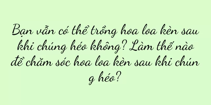 Bạn vẫn có thể trồng hoa loa kèn sau khi chúng héo không? Làm thế nào để chăm sóc hoa loa kèn sau khi chúng héo?