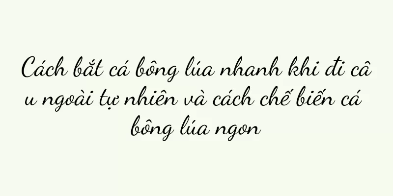 Cách bắt cá bông lúa nhanh khi đi câu ngoài tự nhiên và cách chế biến cá bông lúa ngon