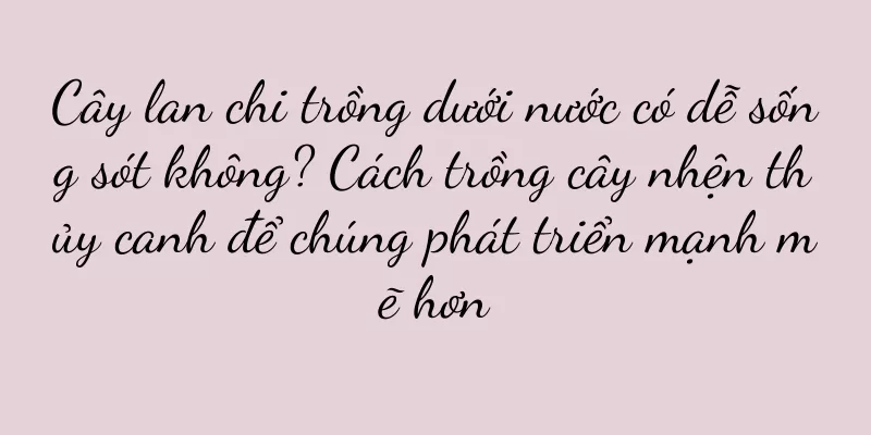 Cây lan chi trồng dưới nước có dễ sống sót không? Cách trồng cây nhện thủy canh để chúng phát triển mạnh mẽ hơn