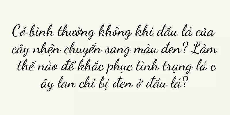 Có bình thường không khi đầu lá của cây nhện chuyển sang màu đen? Làm thế nào để khắc phục tình trạng lá cây lan chi bị đen ở đầu lá?
