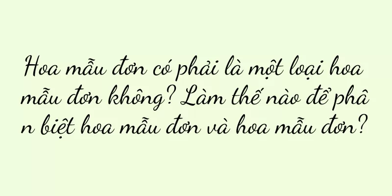 Hoa mẫu đơn có phải là một loại hoa mẫu đơn không? Làm thế nào để phân biệt hoa mẫu đơn và hoa mẫu đơn?