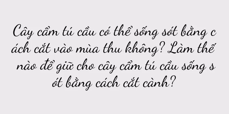 Cây cẩm tú cầu có thể sống sót bằng cách cắt vào mùa thu không? Làm thế nào để giữ cho cây cẩm tú cầu sống sót bằng cách cắt cành?